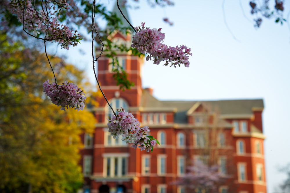 Tech tower in springtime.